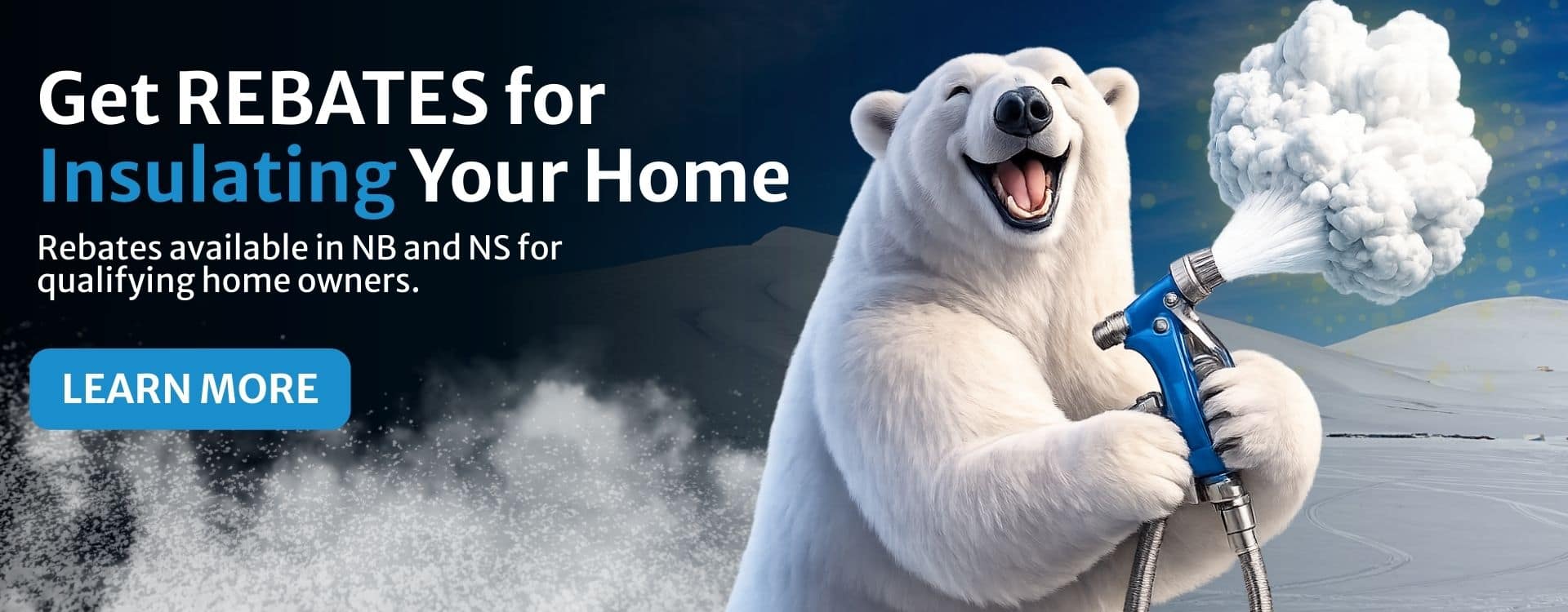 Arctic Landing Page Desktop and Tablet Version - Rebates Banner